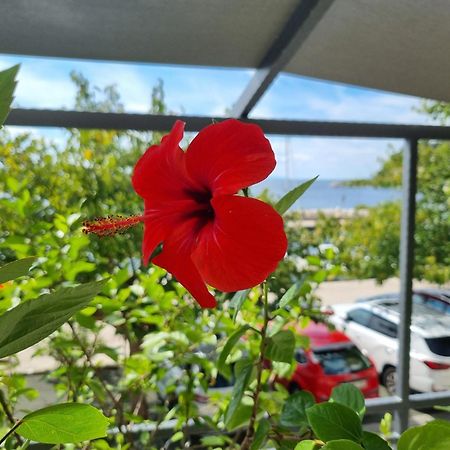 Apartman Ruža Podgora Bagian luar foto