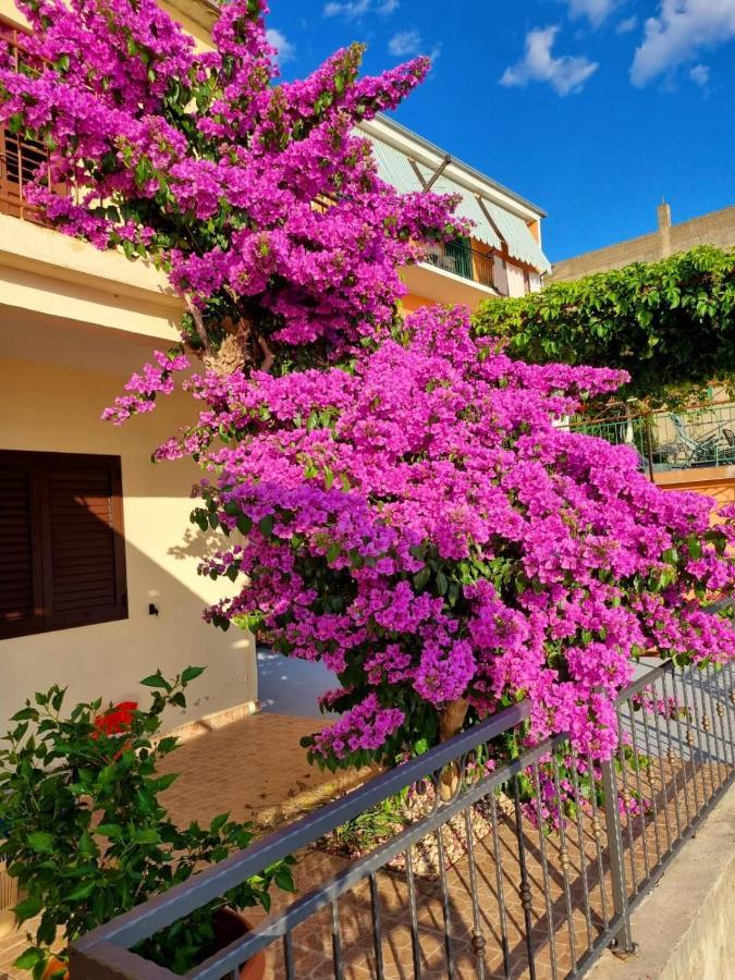 Apartman Ruža Podgora Bagian luar foto